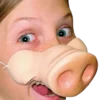 Generic Pig Nose Accessories