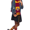 Rubies World Book Day Gryffindor Deluxe Scarf