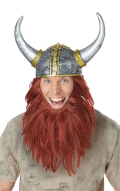 California Costumes Viking Helmet And Hair Costume Accessory
