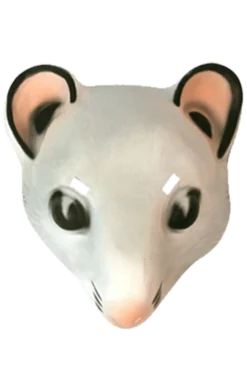 Pams Of Gainsborough Masks Mouse Mask