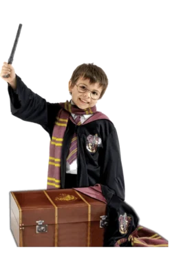 Rubies All Girls Costumes Child Harry Potter Costume & Trunk Set