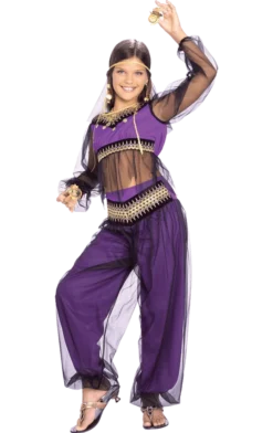 Rubies Child Harem Princess Costume All Girls Costumes