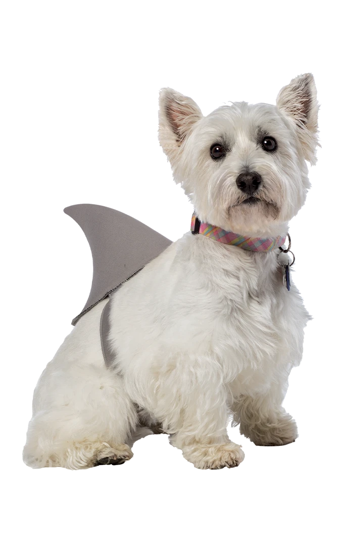 Rasta Imposta Shark Fin Dog Costume Dog Costumes