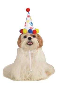 Rubies Paw Print Birthday Hat Accessories