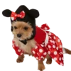 Rubies Disney Minnie Mouse