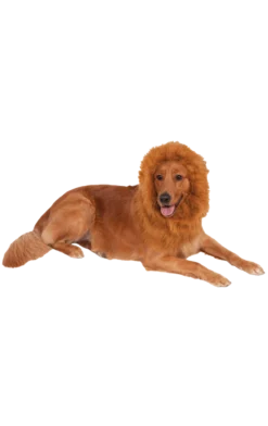 Rubies Accessories Deluxe Lion Mane