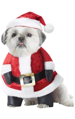 California Costumes Santa Paws Christmas Dog Costume