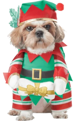 California Costumes Elf Pup Christmas Dog Costume