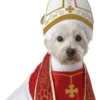 California Costumes Holy Hound Dog Costume Dog Costumes
