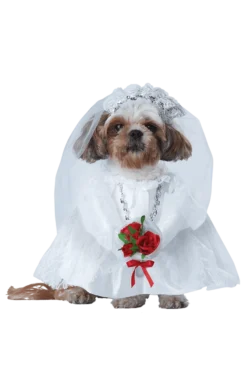 Generic Puppy Bride Dog Costume