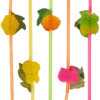 Generic Fruit Straws Pack