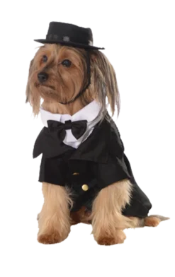 Rubies Best In Show Dog Costume