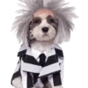 Rubies Beetlejuice Dog Costume Dog Costumes