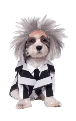 Rubies Beetlejuice Dog Costume Dog Costumes
