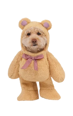 Rubies All Themes Walking Teddy Bear