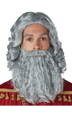 California Costumes Grey Biblical King Wig And Beard