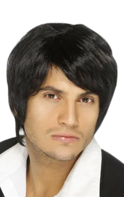 Smiffys Boy Band Wig (Black) Accessories