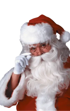 Rubies Deluxe Santa White Wig & Beard Set Accessories