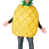 Rasta Imposta Adults Pineapple Costume