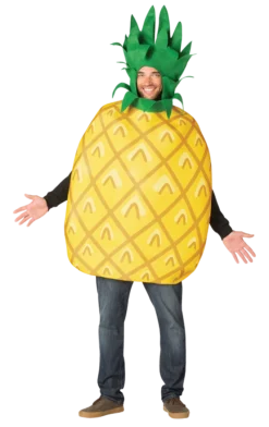 Rasta Imposta Adults Pineapple Costume