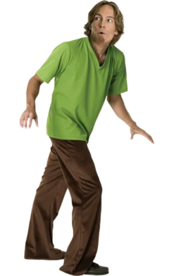Rubies Adult Shaggy Costume (Scooby-Doo)