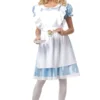 California Costumes Alice In Wonderland Costume
