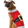 Rasta Imposta All Themes Santa Dog