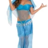 Generic Arabian Princess All Womens Costumes