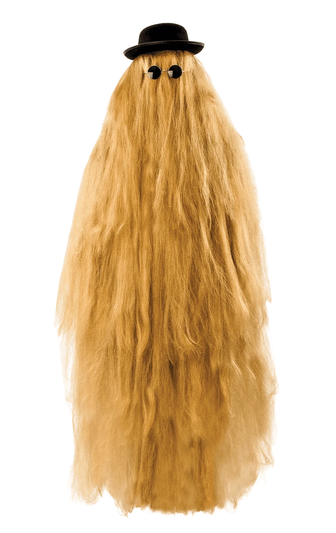 Orion Costumes All Mens Costumes Adult Hairy Relative Costume