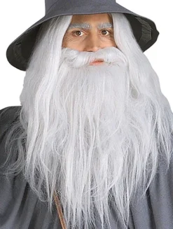 Rubies Adult Gandalf Beard & Wig Set Accessories