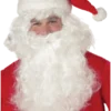 California Costumes Realistic Santa Wig & Beard Set Christmas