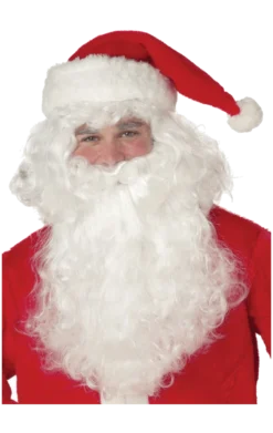 California Costumes Realistic Santa Wig & Beard Set Christmas