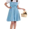 Rubies Official Dorothy Wizard Of Oz Costume (Plus Size) All Womens Costumes