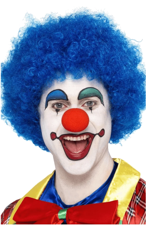 Bristol Novelty Economy Clown Wig In BLUE