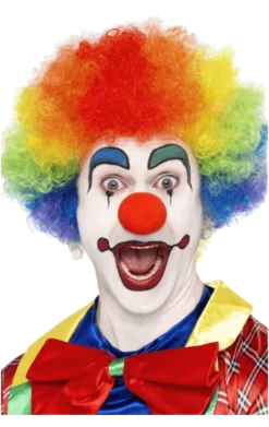 Bristol Novelty Rainbow Clown Wig Accessory Accessories