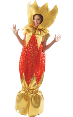 Orion Costumes All Mens Costumes Christmas Cracker Costume