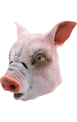 Bristol Novelty Pig Mask