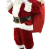 Halco Santa Suit (Professional) Adults