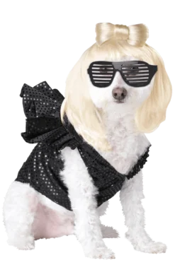 California Costumes Lady Dogga Dog Costume