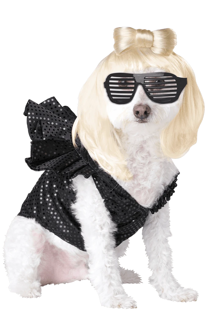 California Costumes Lady Dogga Dog Costume