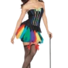 Party King Adult Rainbow Witch Costume All Womens Costumes