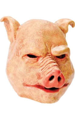 Bristol Novelty Scary Pig Mask Accessories