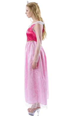 Orion Costumes Adult Fairytale Princess Fancy Dress Costume All Womens Costumes