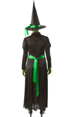 Orion Costumes All Womens Costumes Wicked Witch Outfit