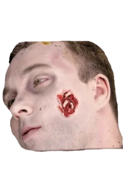 Mask World Maggots Feast Prosthetic Make Up Kit Accessories