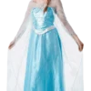 Rubies Adult Disney Frozen Elsa Costume All Womens Costumes