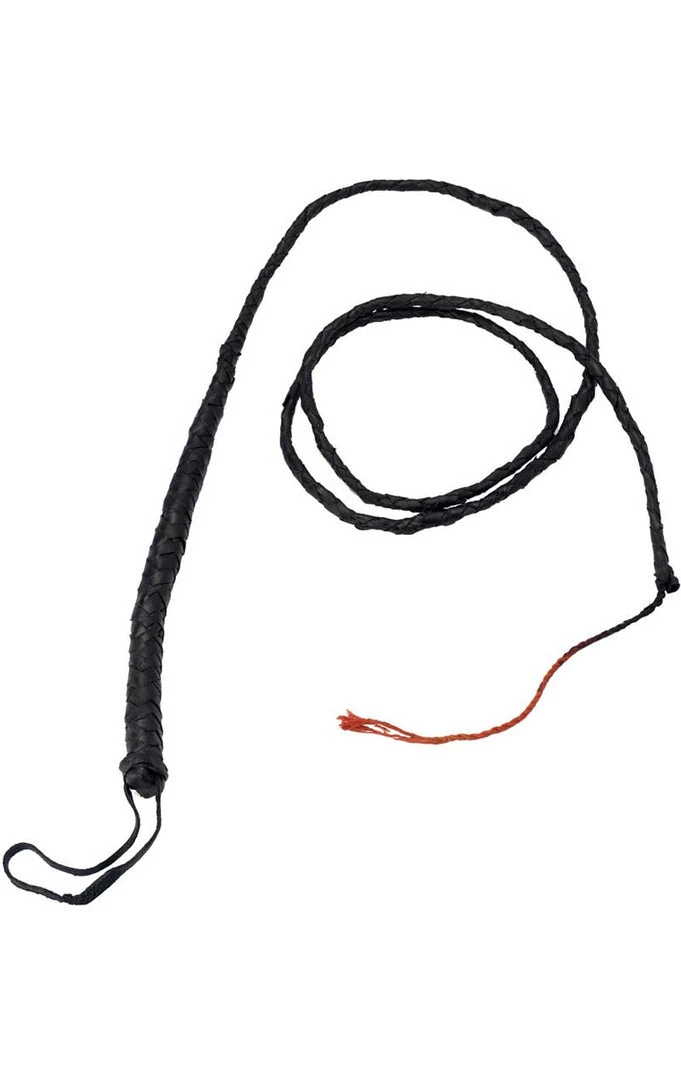 Palmer Long Bull Whip