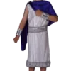 Pams Of Gainsborough Child Classic Caesar Roman Costume Kids