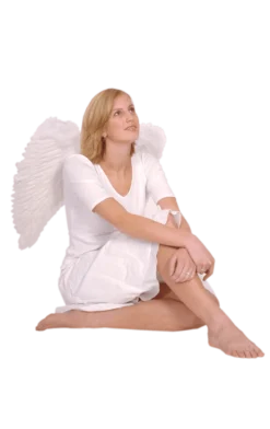 Boland White Feather Wings 65x65cm Angels