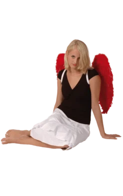 Boland Red Feather Wings 65x65cm